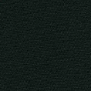 Big Sur Canvas in Black