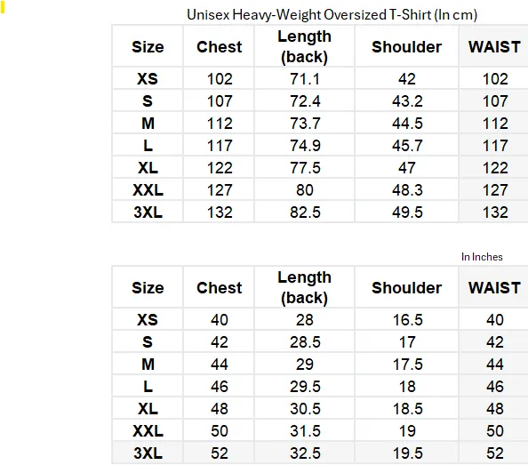 HARRY STYLES Heavy-Weight Oversized T-Shirt